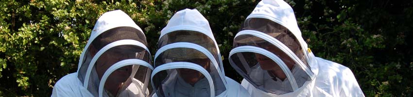 beemask